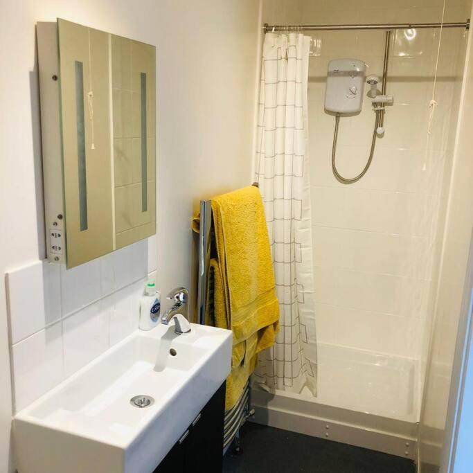קרדיגן The Annexe - Spacious 2 Bedroom Detached Cottage מראה חיצוני תמונה